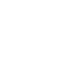 Icône représentant un nettoyage professionnel de canapé